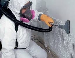 Best Mold Remediation for Rental Properties  in Elkin, NC